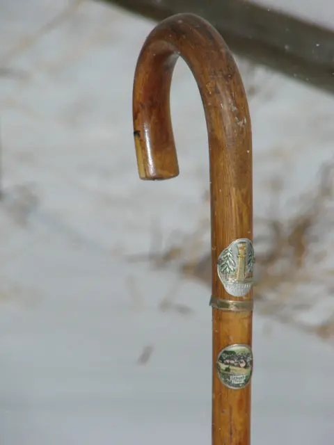 Vintage German Walking Stick 1