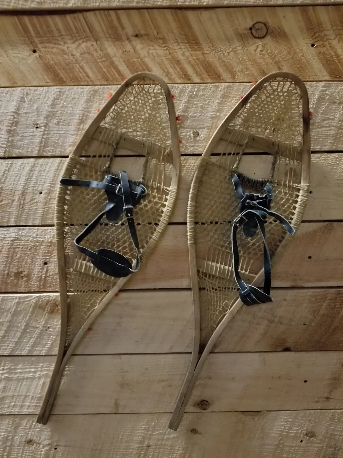 Antique Native American Indian Snowshoes 1