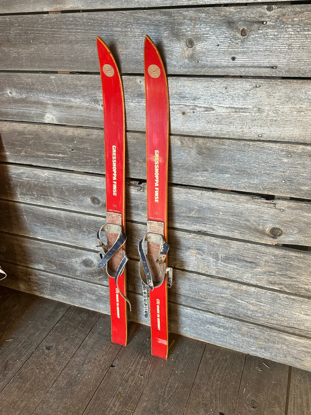 Norwegian Gresshoppa Childs Skis 1