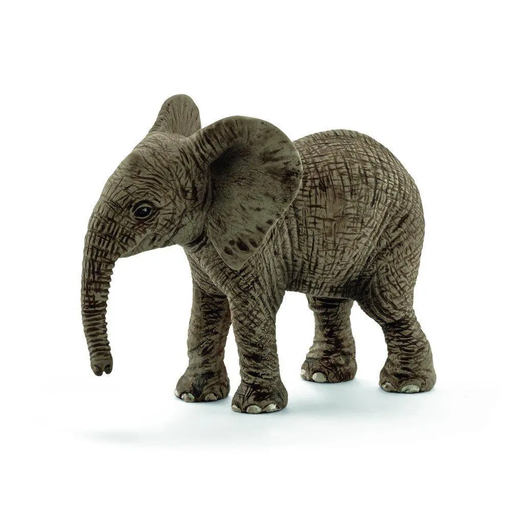 African Elephant, Calf 1