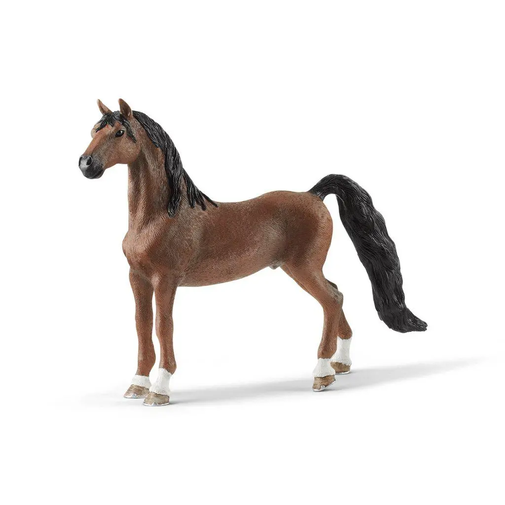 American Saddlebred Gelding 1