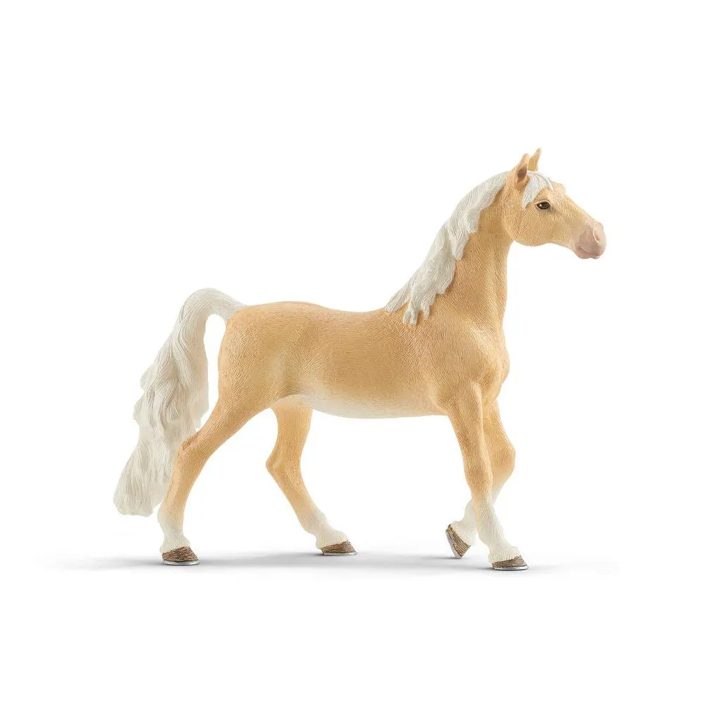 American Saddlebred Mare 1
