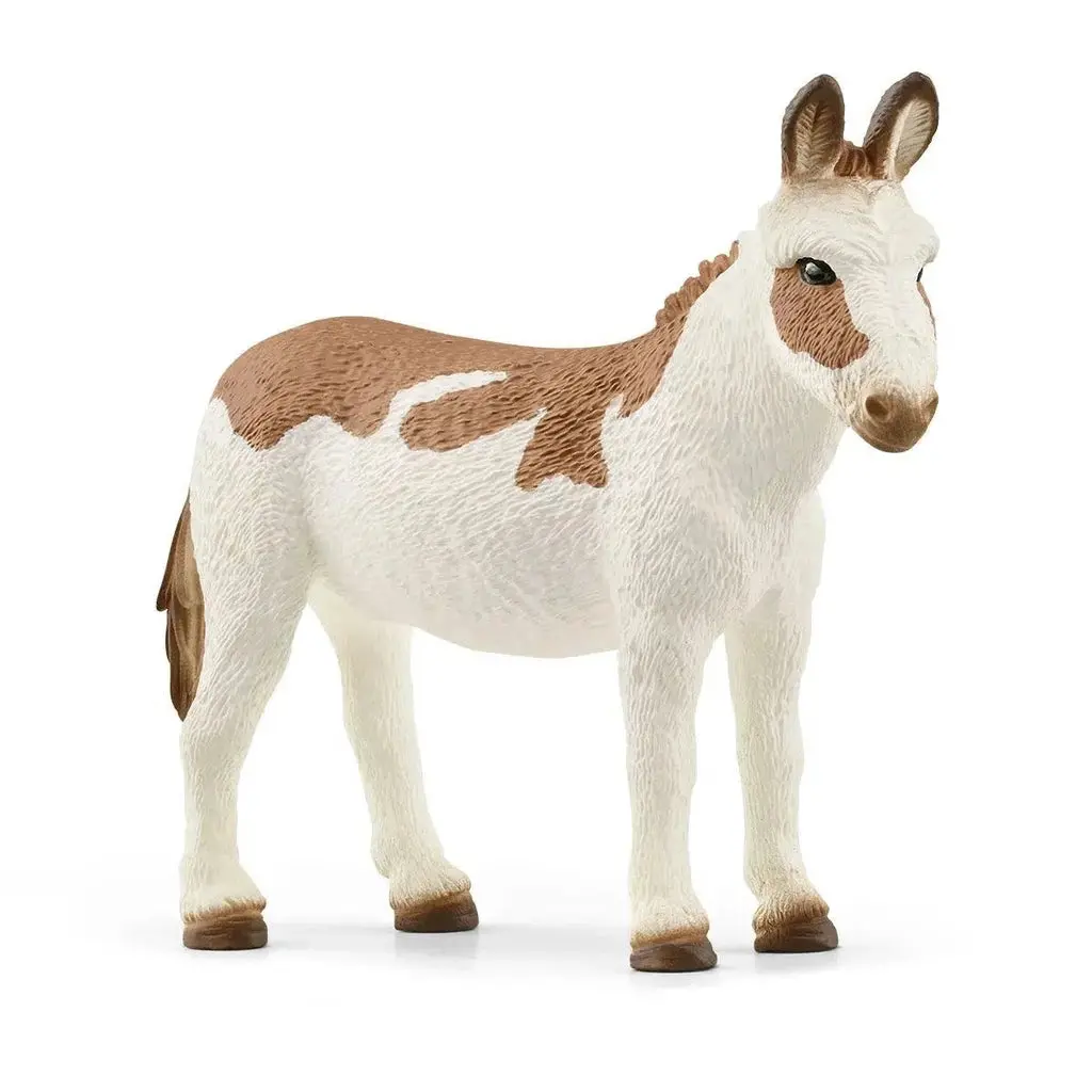 American Spotted Donkey 1