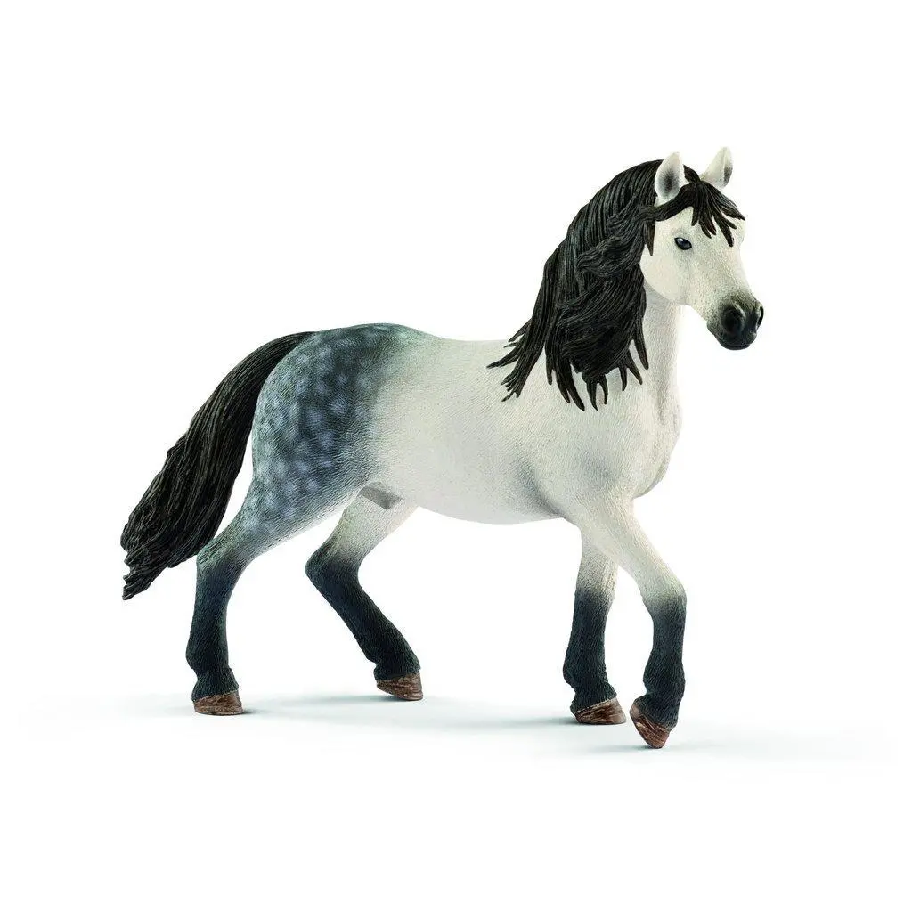 Andalusian Stallion 1