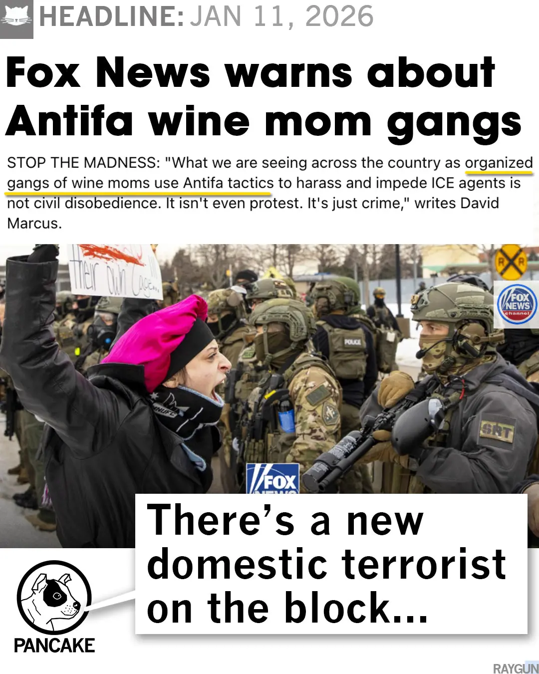 Antifa Wine Mom 4