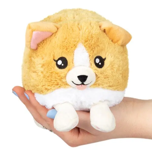 Baby Corgi Snacker 1