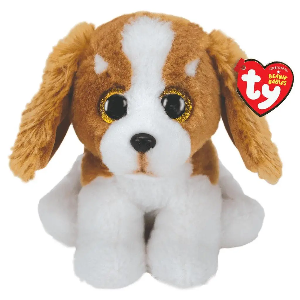 Barker - Small Dog 1