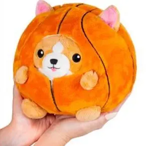 Basketball Undercover Corgi 1