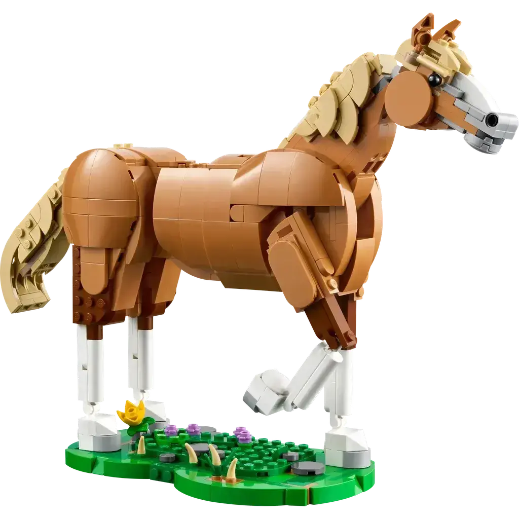 Beautiful Horse 1