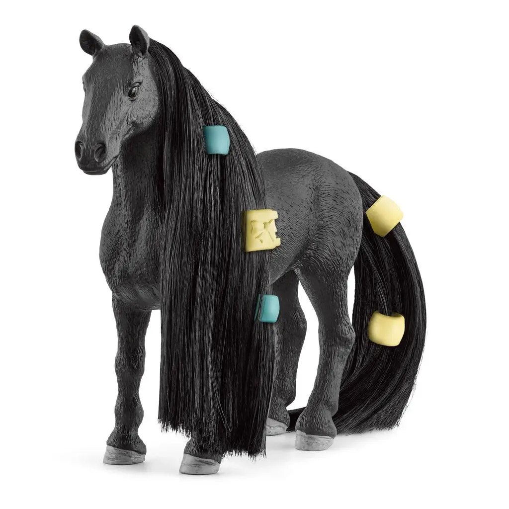 Beauty Horse Criollo Definitivo Mare 1