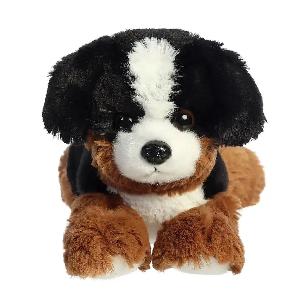 Bernie Mountain Dog 1