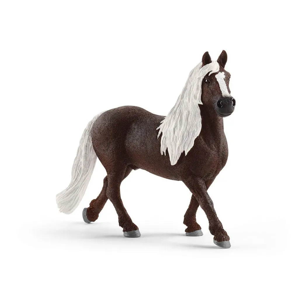 Black Forest Stallion 1