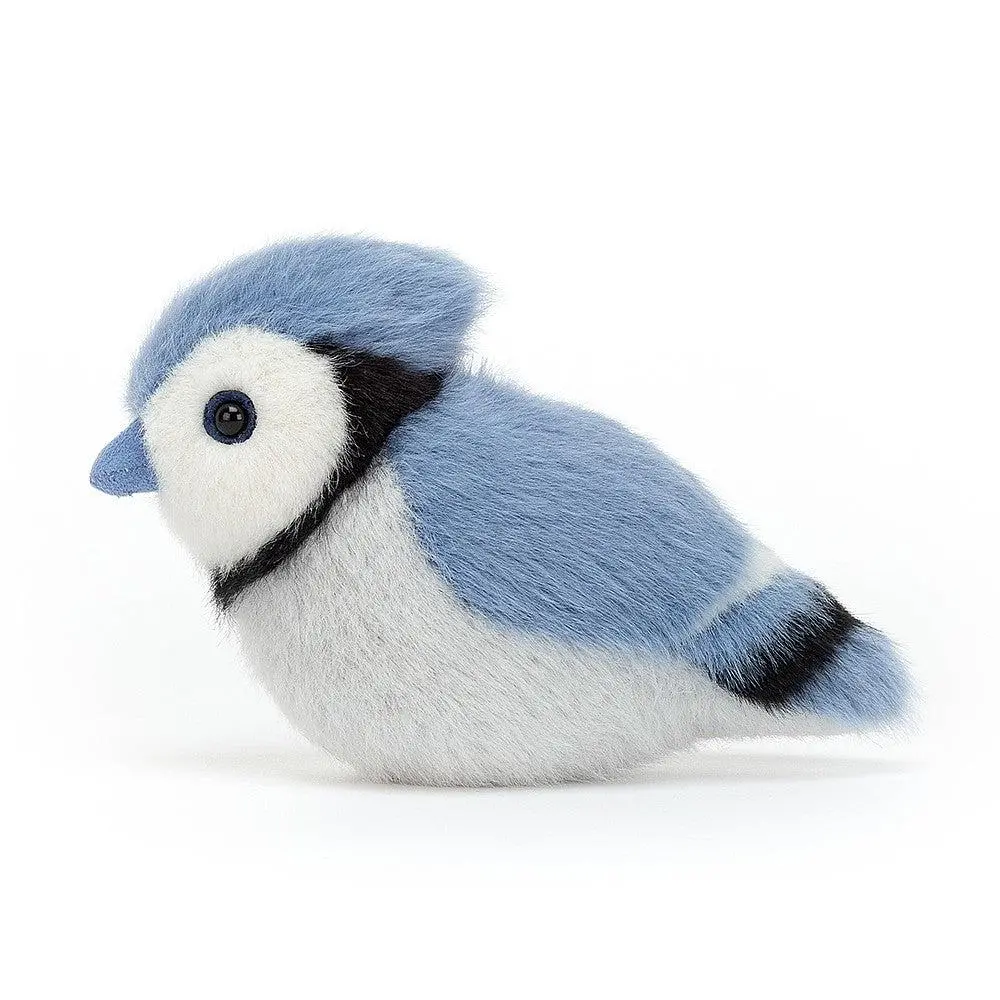 Blue Jay 4&Quot; - Birdling 1