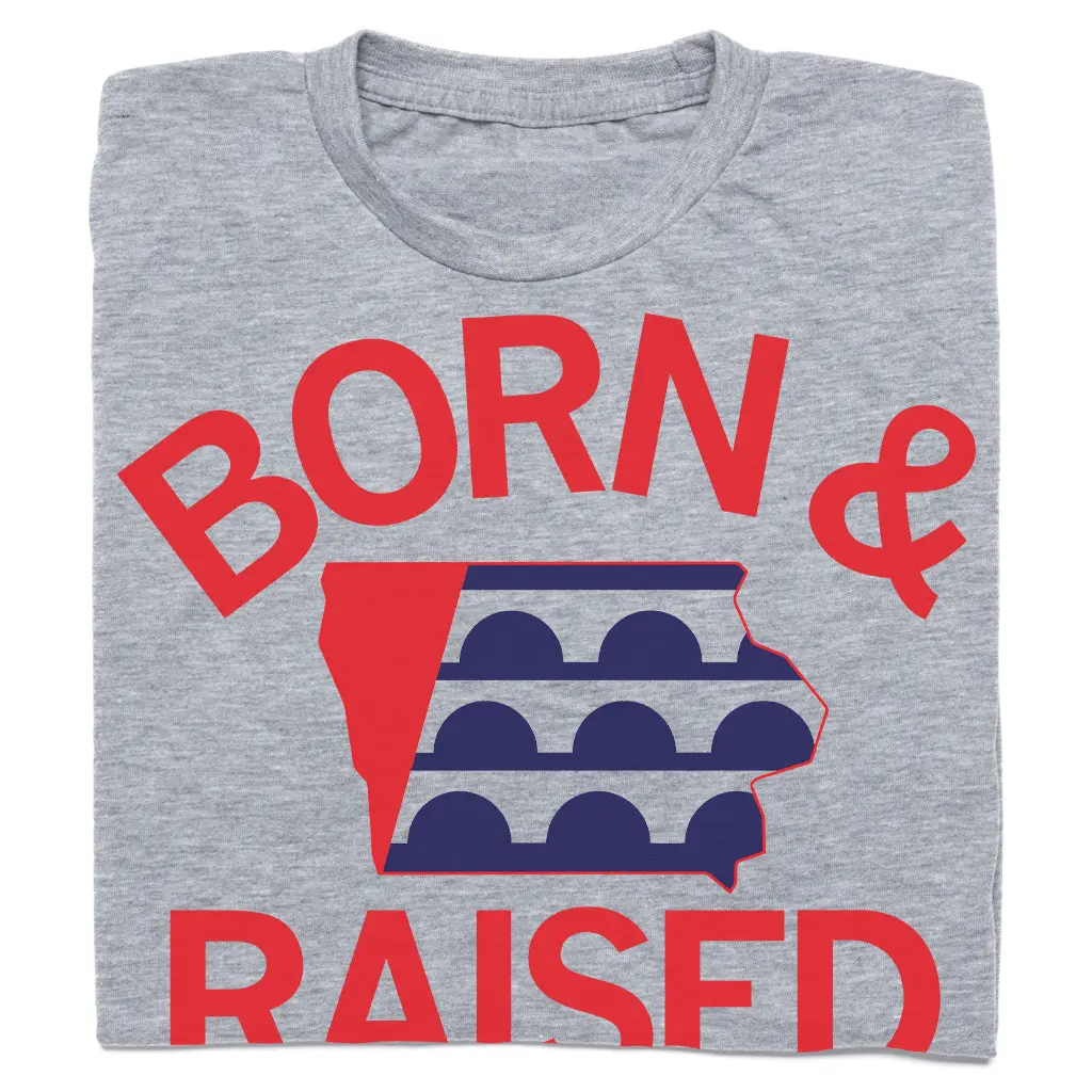 Des Moines Born & Raised Ia Outline 1