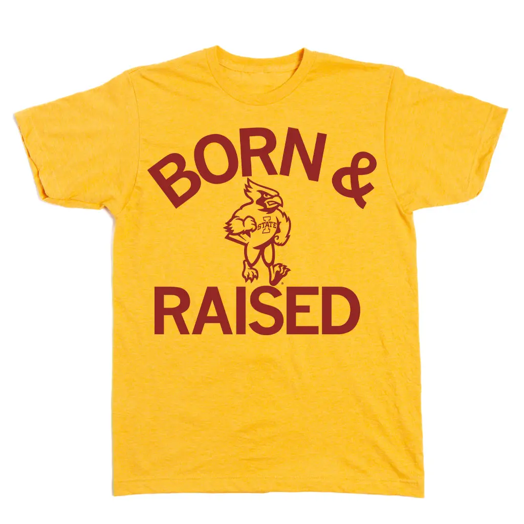 Cyclones Born & Raised 2