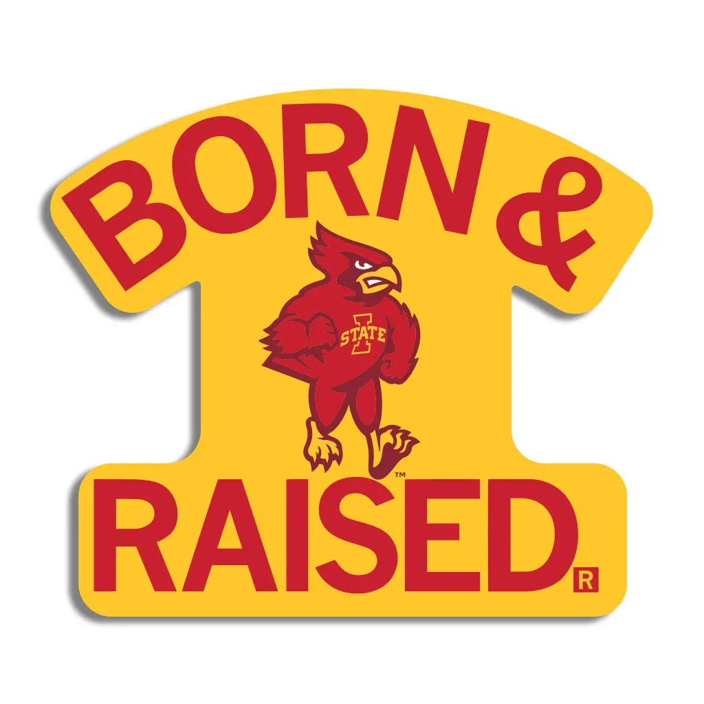 Cyclones Born & Raised Die-Cut Sticker 1