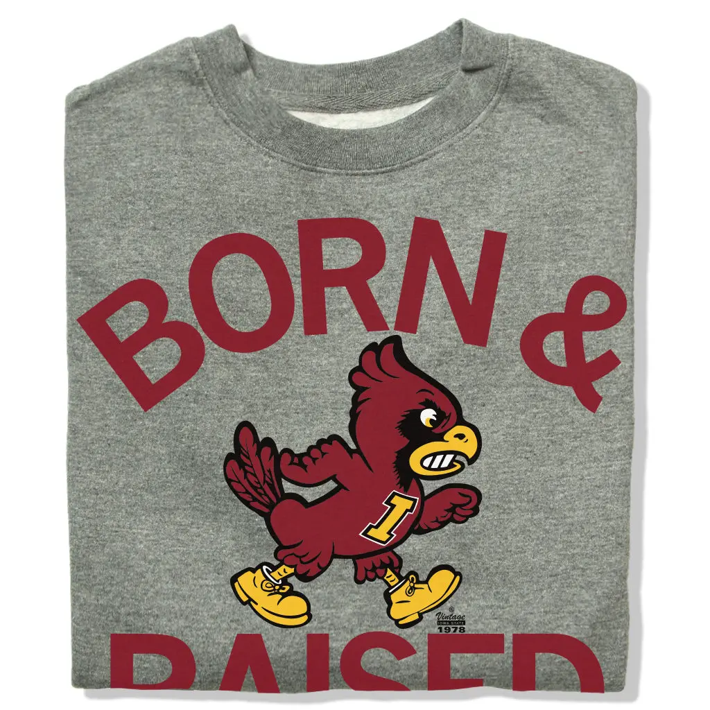 Cyclones Born & Raised Vintage Grey Crew Sweatshirt 1