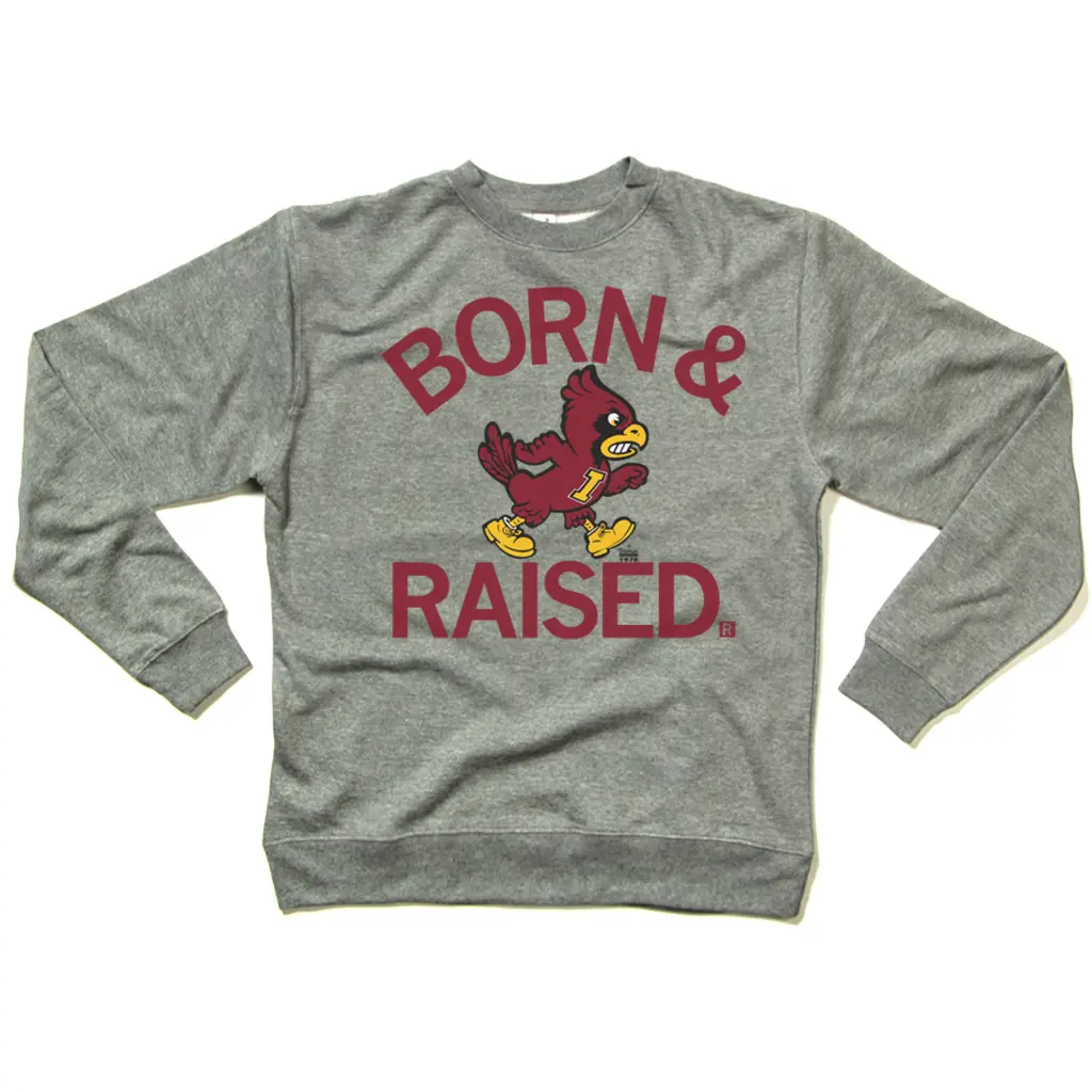 Cyclones Born & Raised Vintage Grey Crew Sweatshirt 2