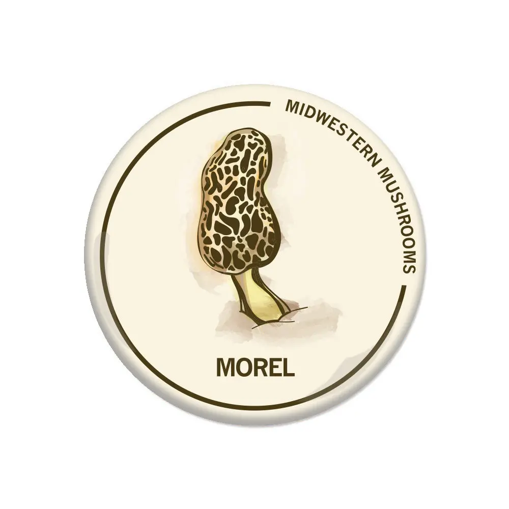 Morel Mushroom Button 1