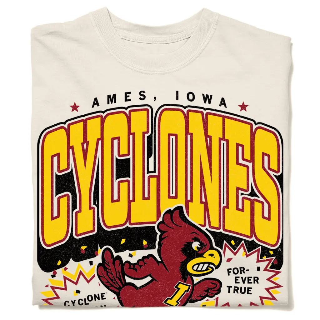 Cyclones Max Collegiate Heavyweight 1