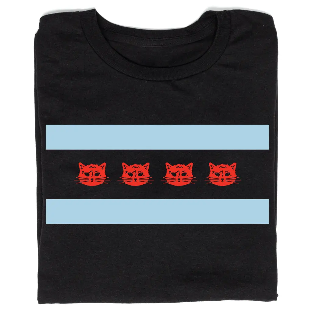 Chicago Flag Gary 1