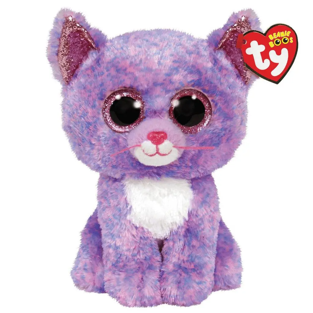 Cassidy The Cat 1