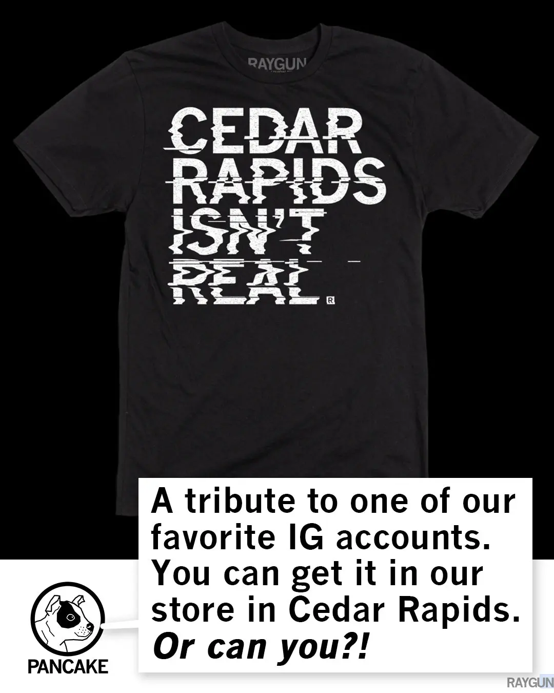 Cedar Rapids Isn't Real 5