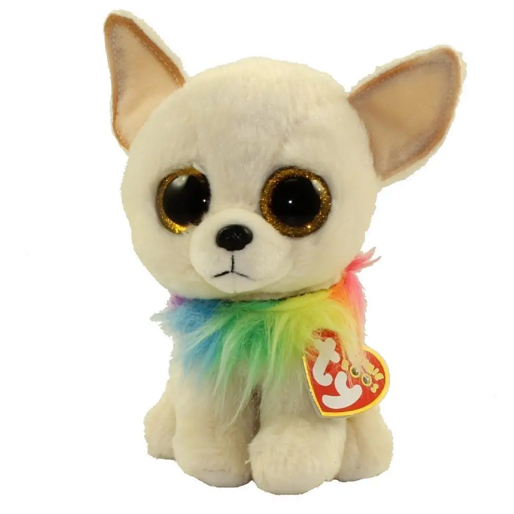 Chewey - Small Chihuahua 1