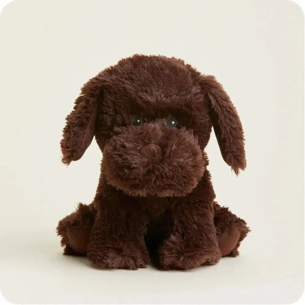 Chocolate Lab - Warmies 1