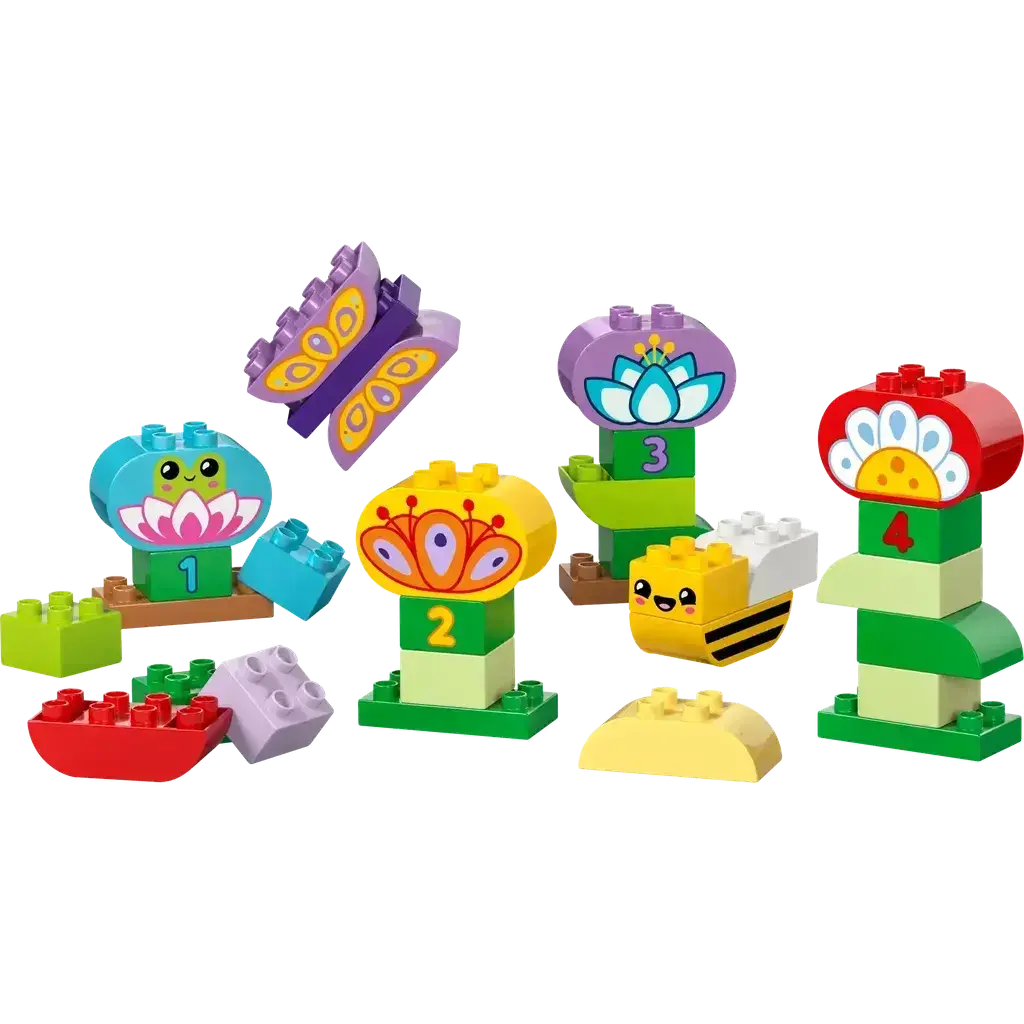 Creative Garden & Flowers 1