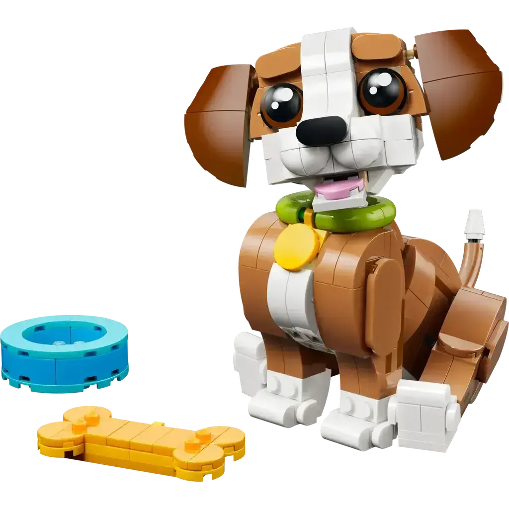 Cute Animals: Playful Puppy Dog 1