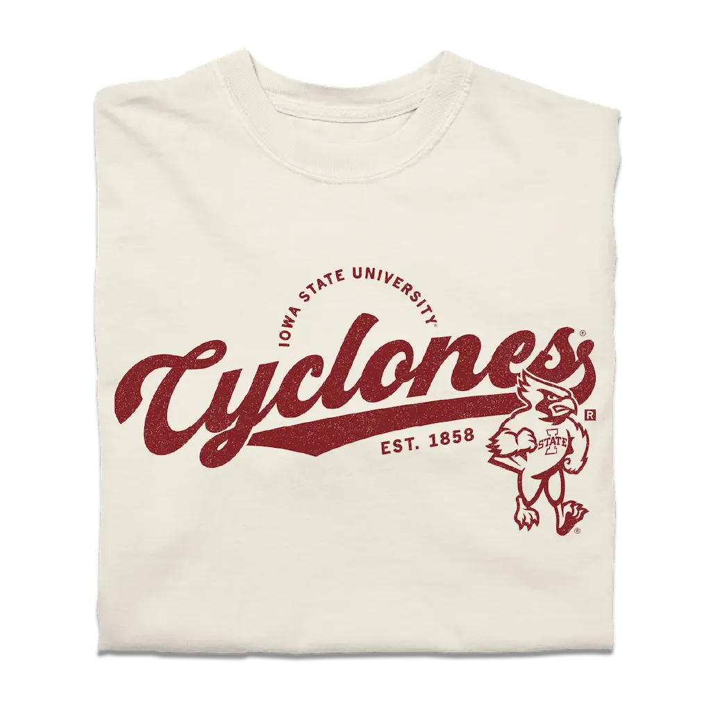 Cyclones Script Logo Heavyweight 1