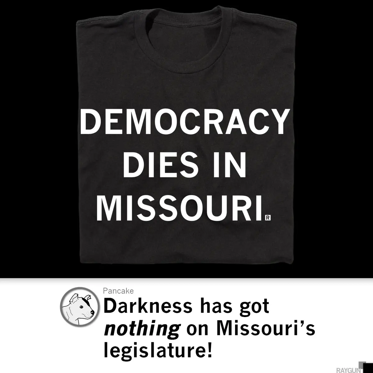 Democracy Dies In Missouri 4