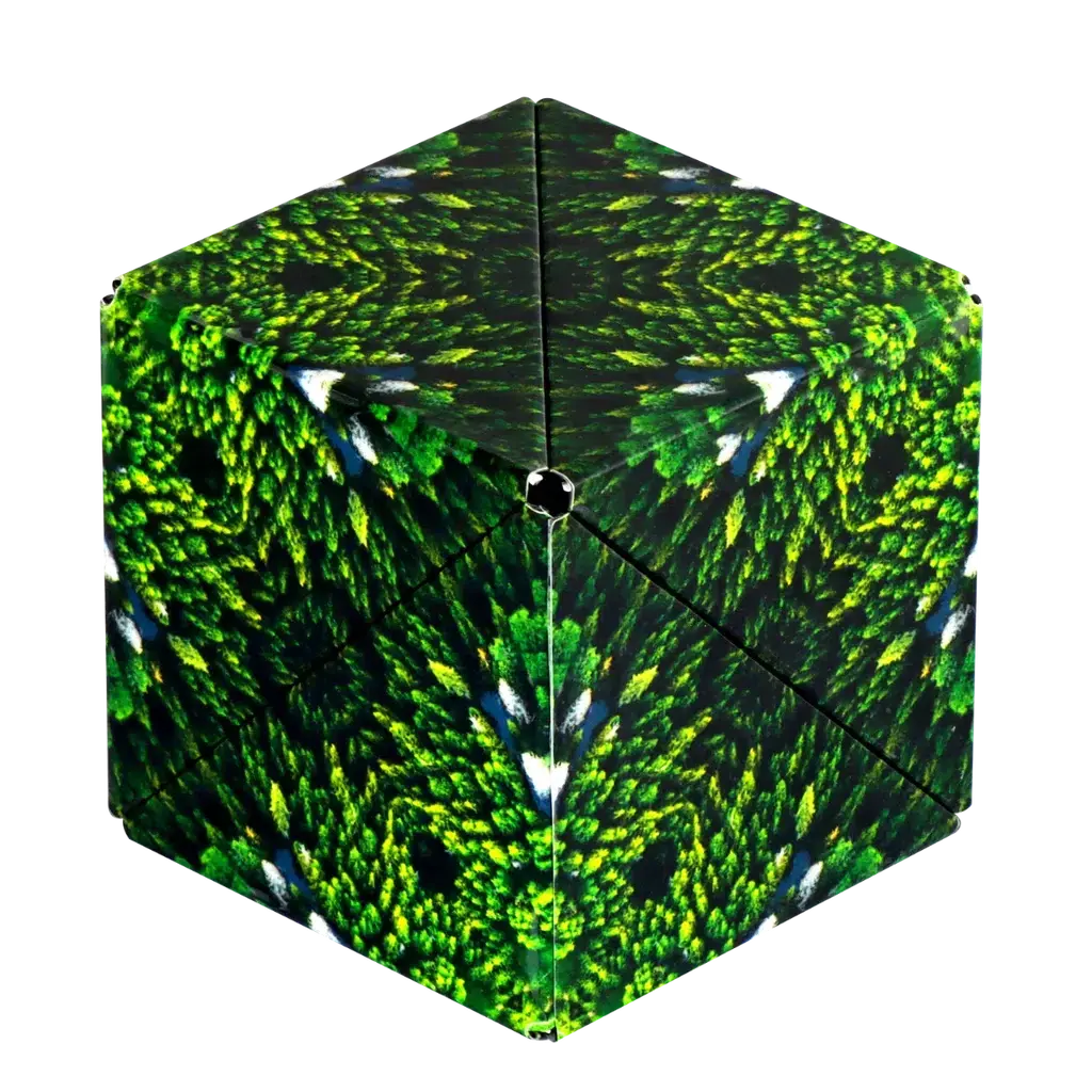 Forest Shashibo 1