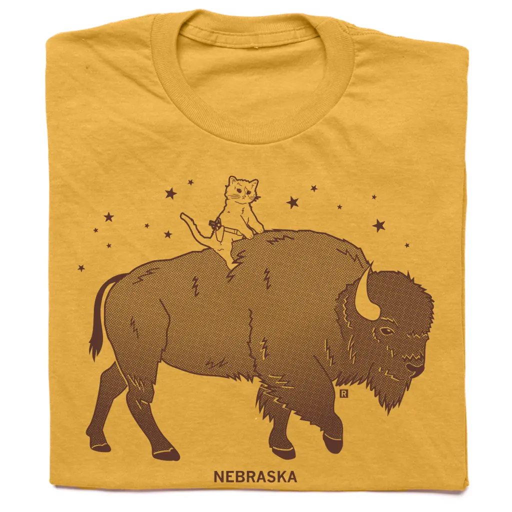 Gary Riding Bison 1