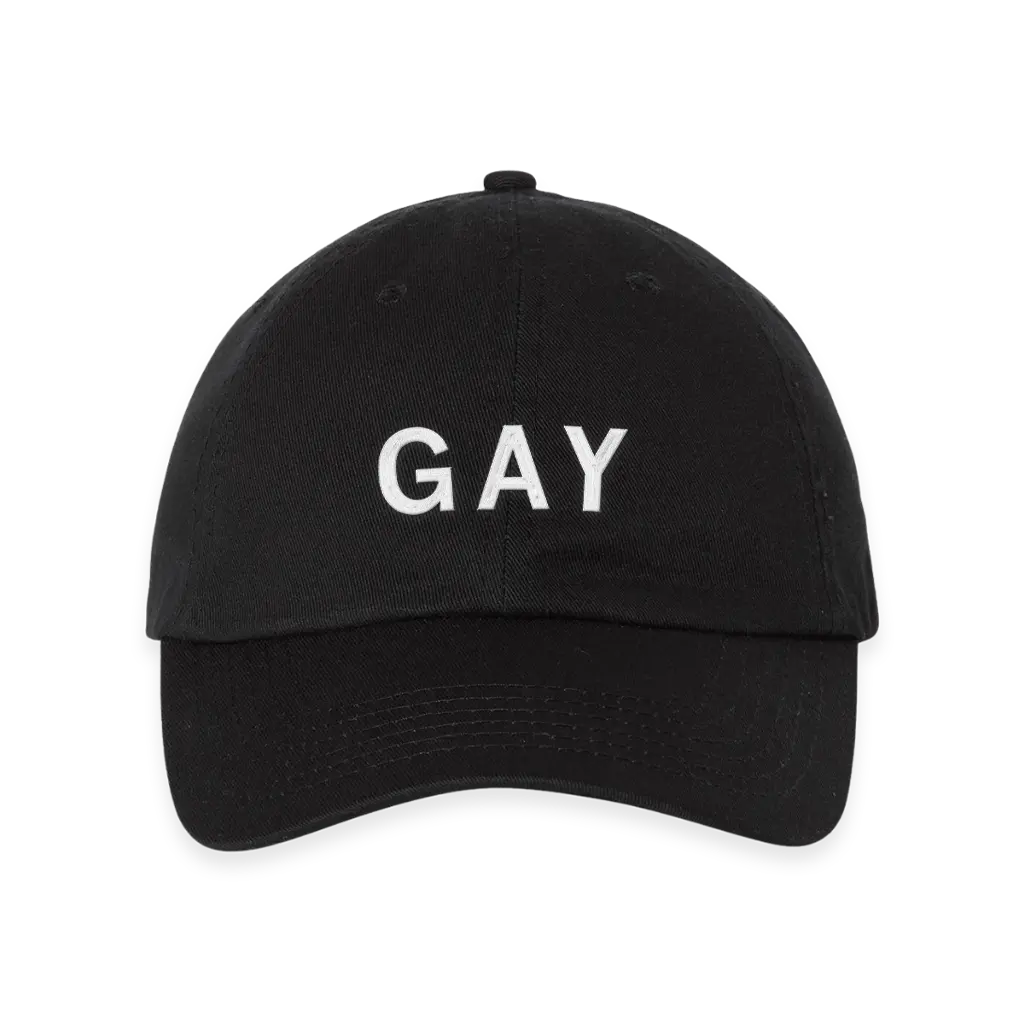 Gay Text Dad Hat 1
