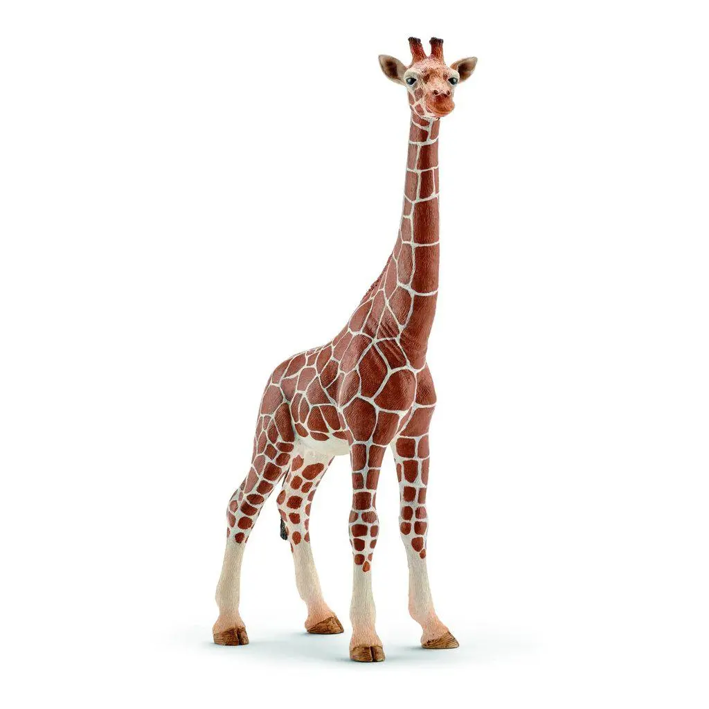 Giraffe, Female 1
