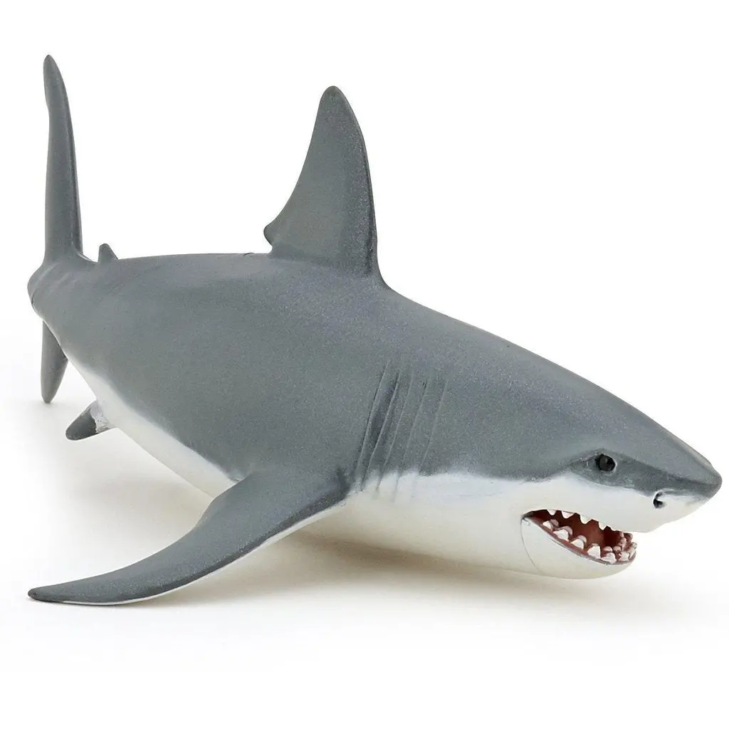 Great White Shark 1