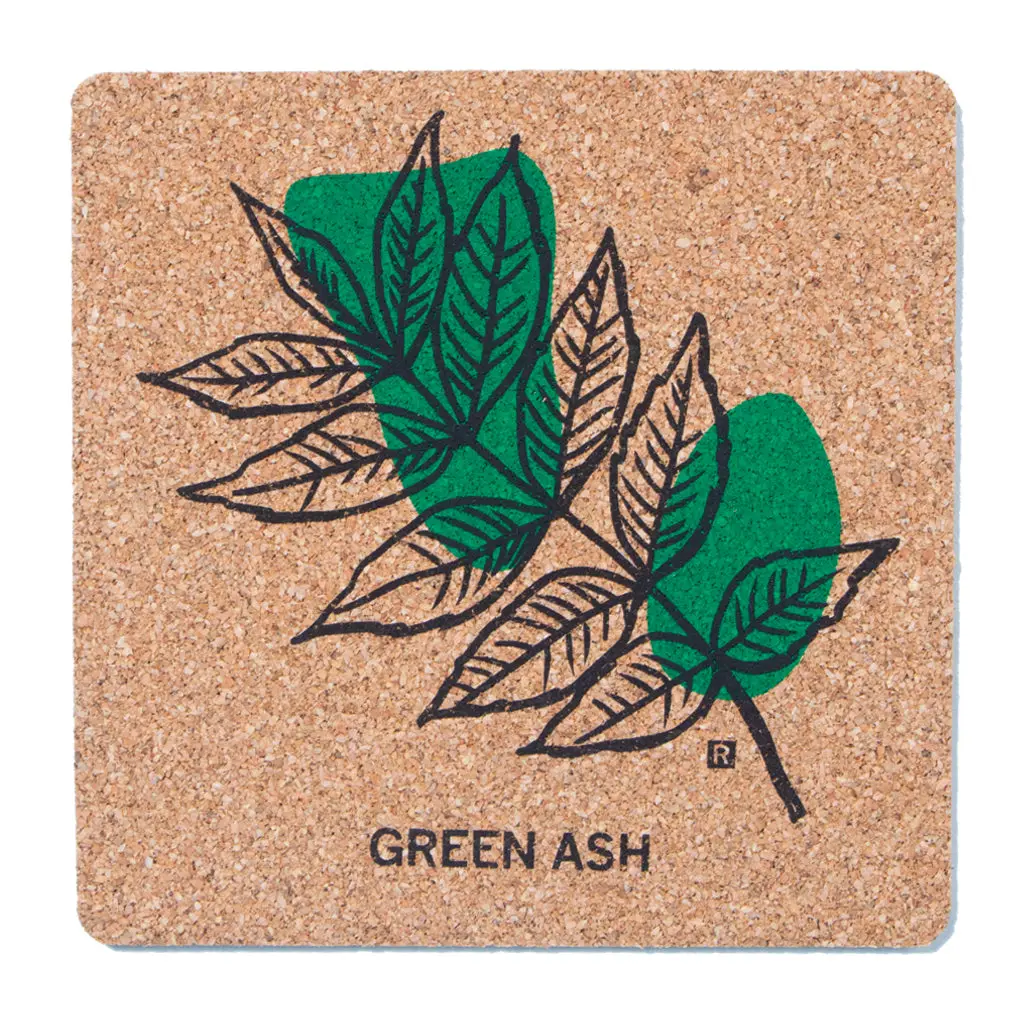 Green Ash Cork Coaster 1