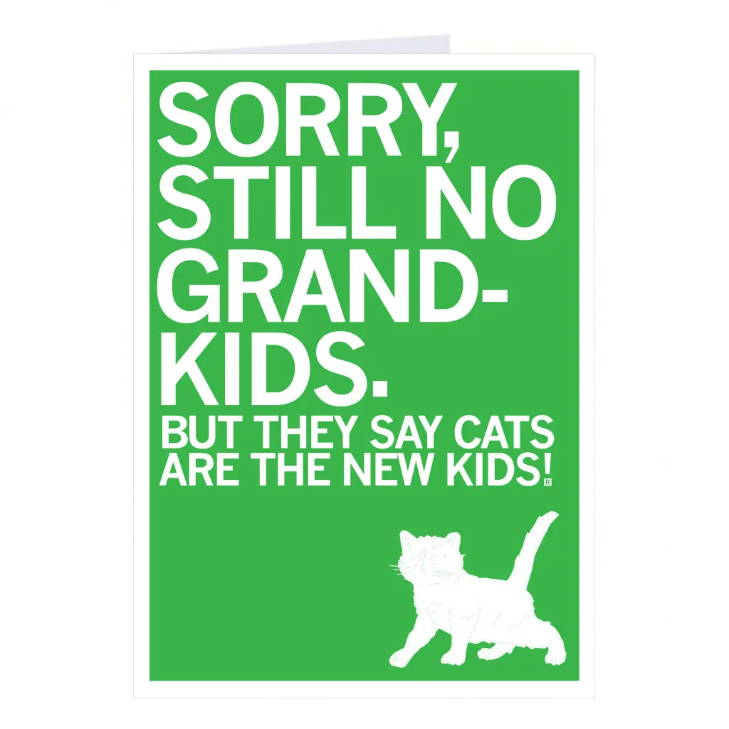 Sorry No Grandkids Cat Greeting Card 1