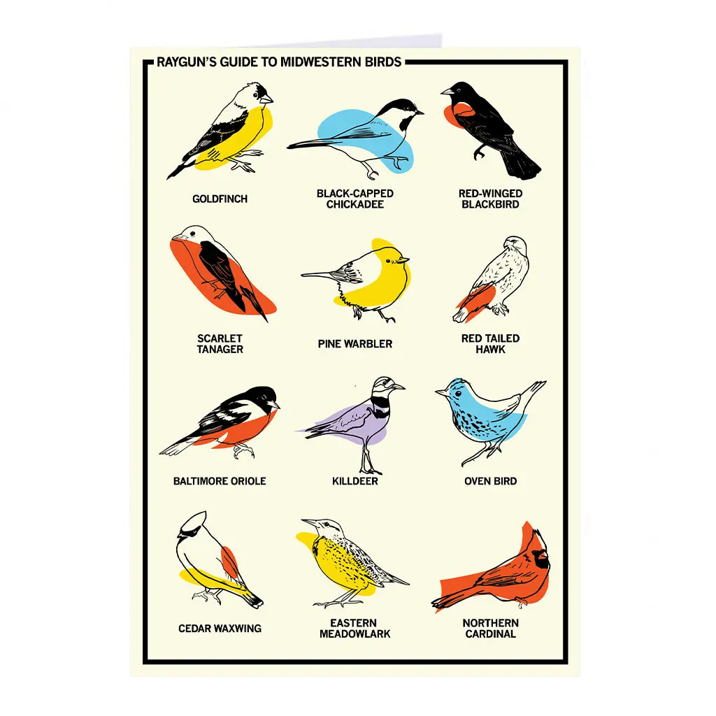 Midwestern Birds Greeting Card 1