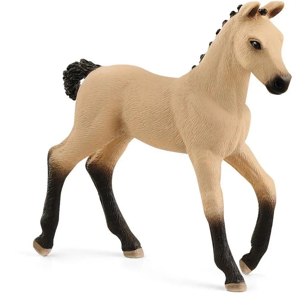 Hannoverian Foal 1