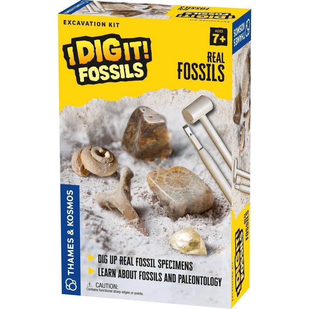 I Dig It! Fossils - Real Fossils Excavation Kit 1