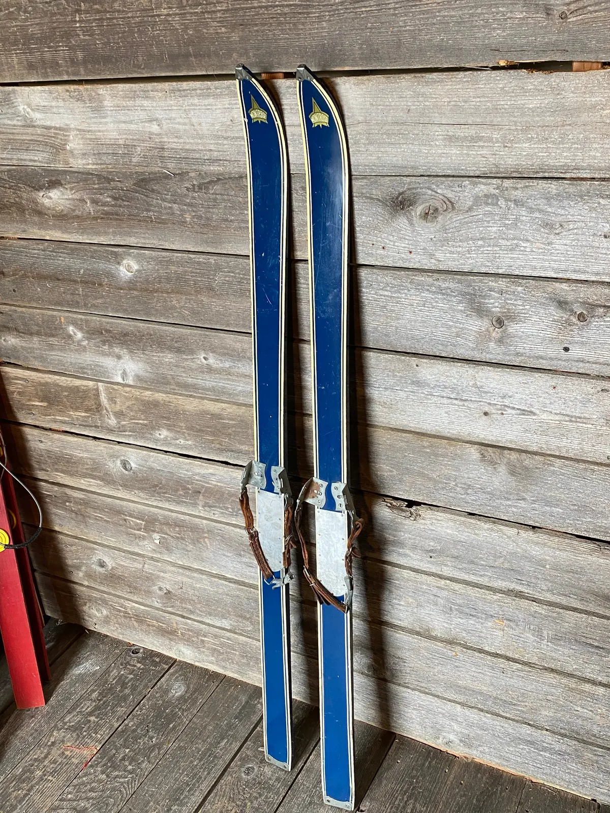 Vintage Junior Skis - Montrose Blue 1