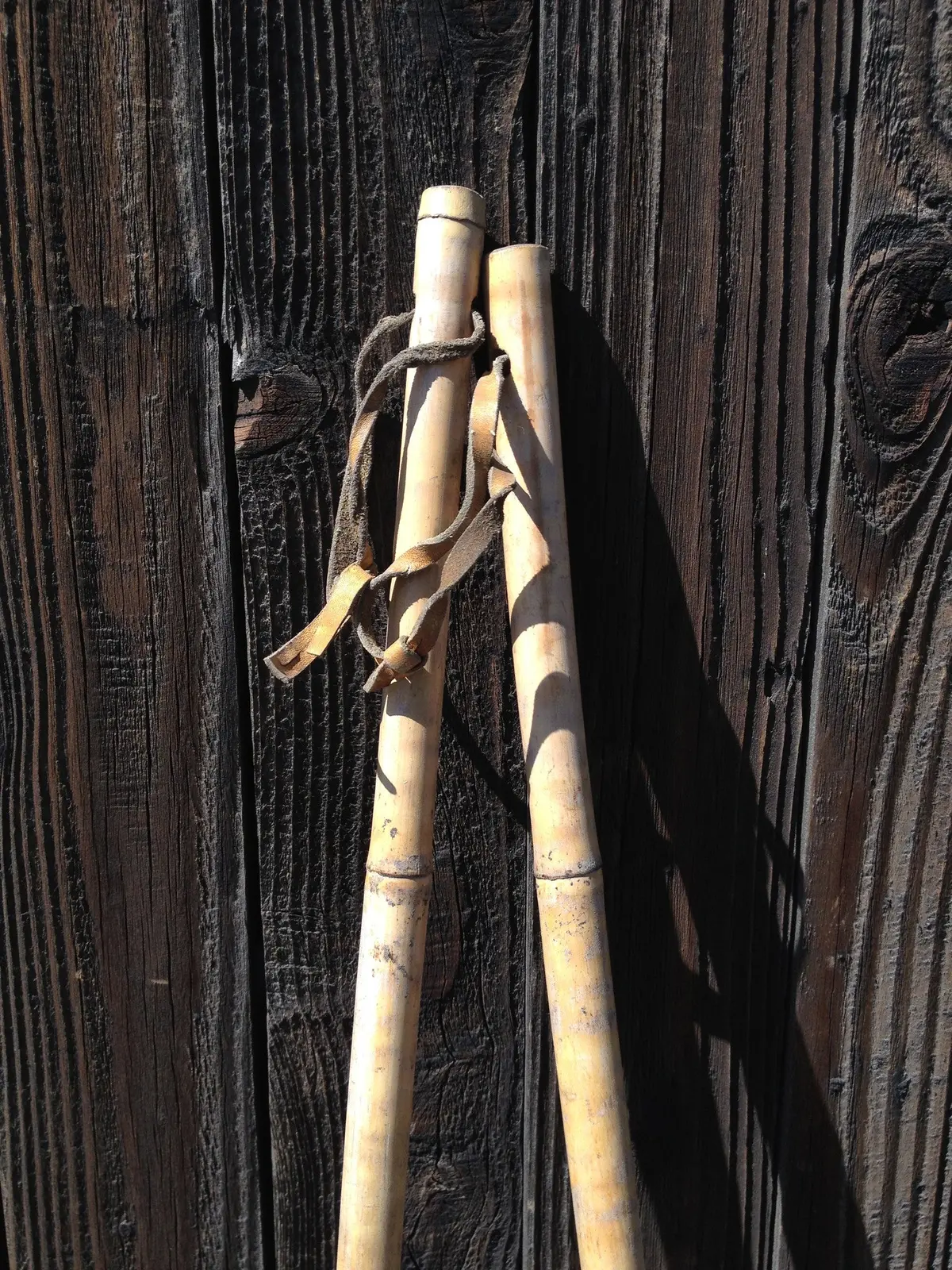 Vintage Tiger Striped Bamboo - Childrens Ski Poles 2