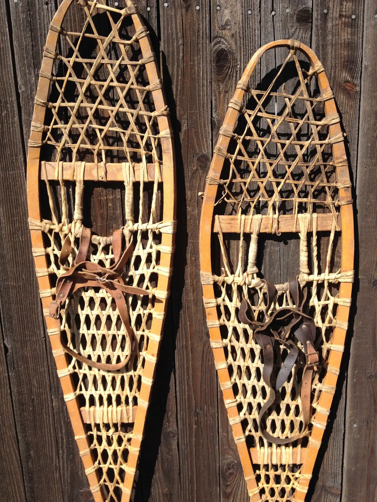 Pickerel Style Canadian Snowshoes 1