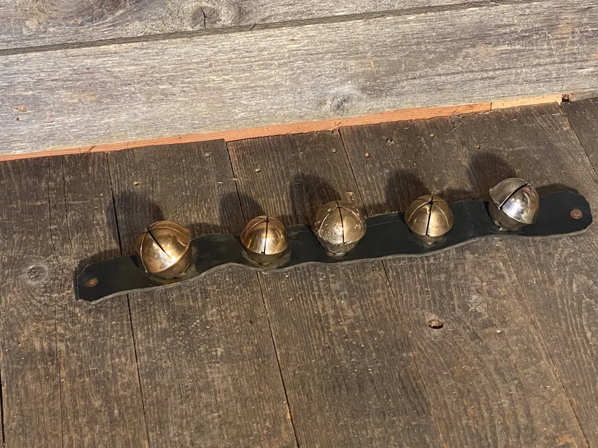 Rump Sleigh Bells On Leather Strap - 23" 1