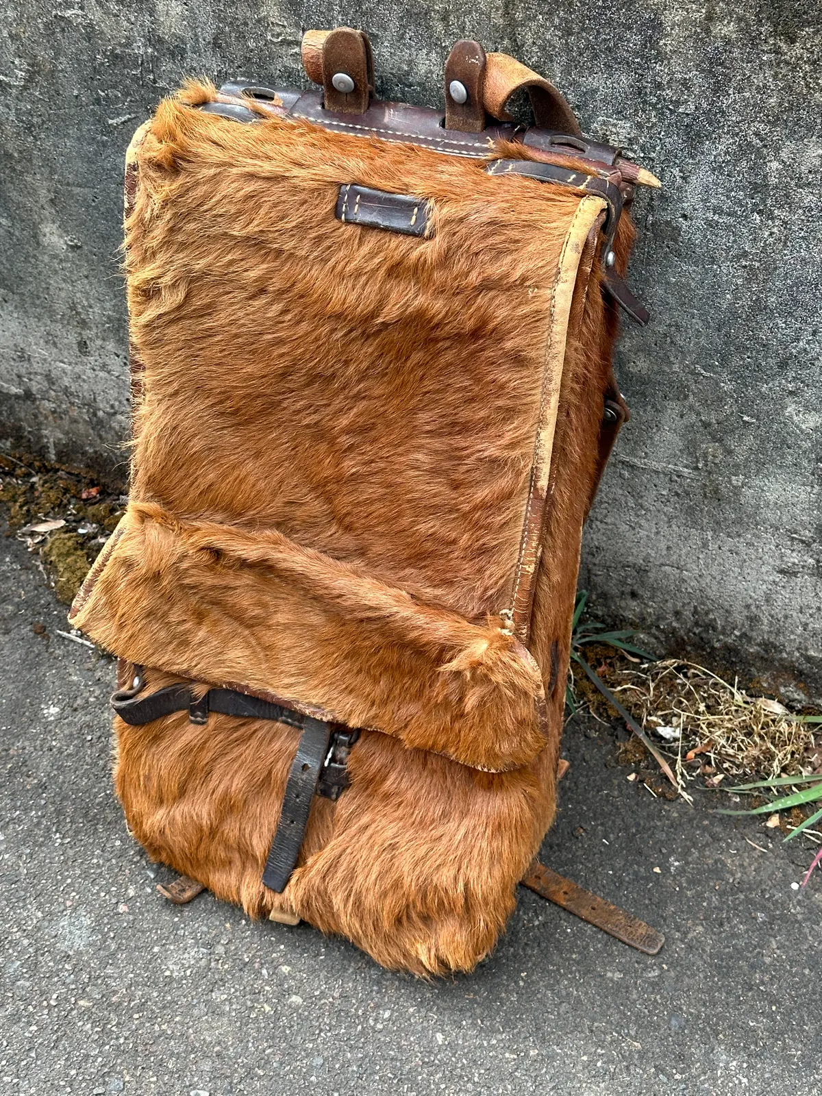 Vintage Swiss Cowhide Backpack 1