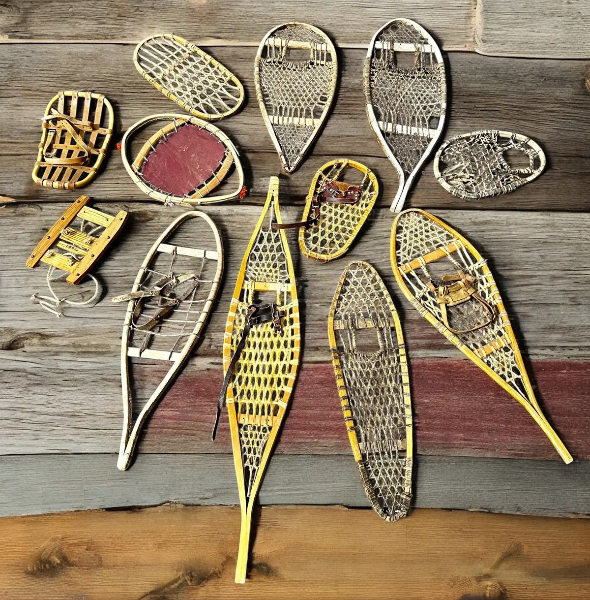 Vintage Snowshoe Wall Art (Collection Of 12 Singles) 1