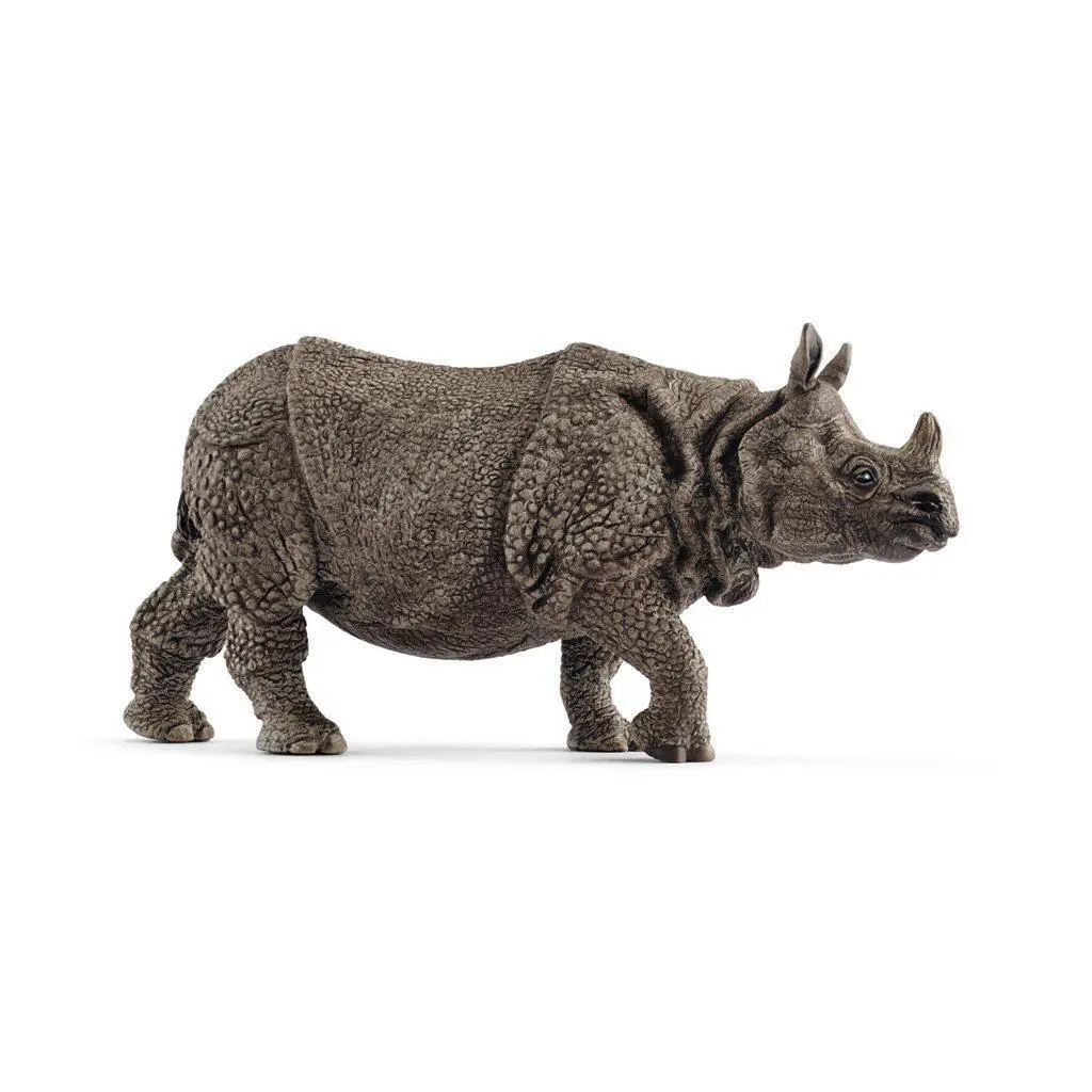 Indian Rhinoceros 1